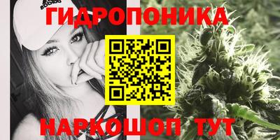 шишки Кулебаки