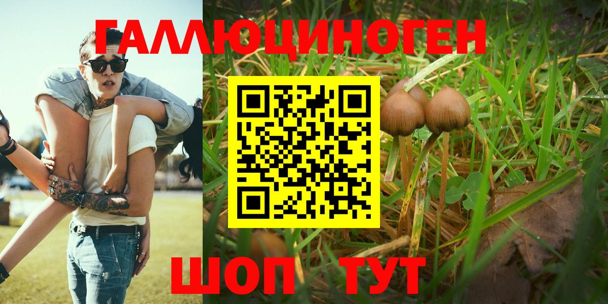 Галлюциногенные грибы MAGIC MUSHROOMS  Вход с VPN  Йошкар-Ола 