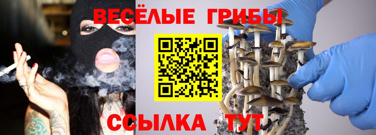 Псилоцибиновые грибы Magic Shrooms Йошкар-Ола